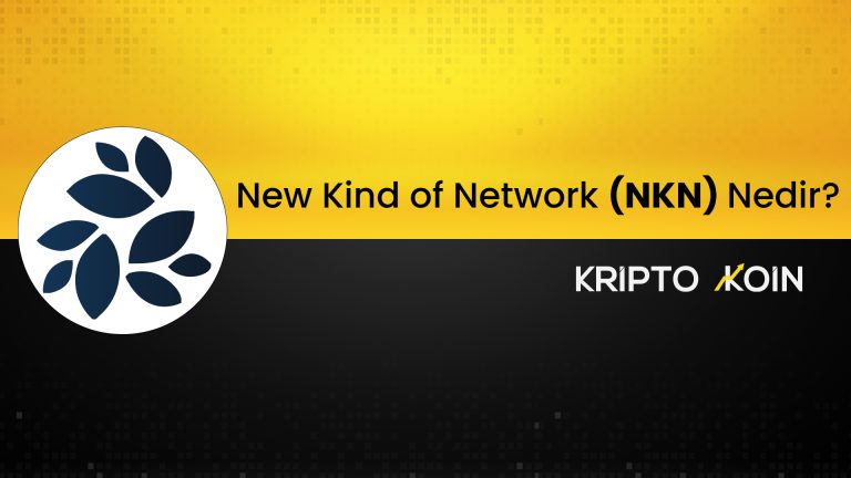 New Kind of Network Nedir? NKN Coin Nasıl Alınır?