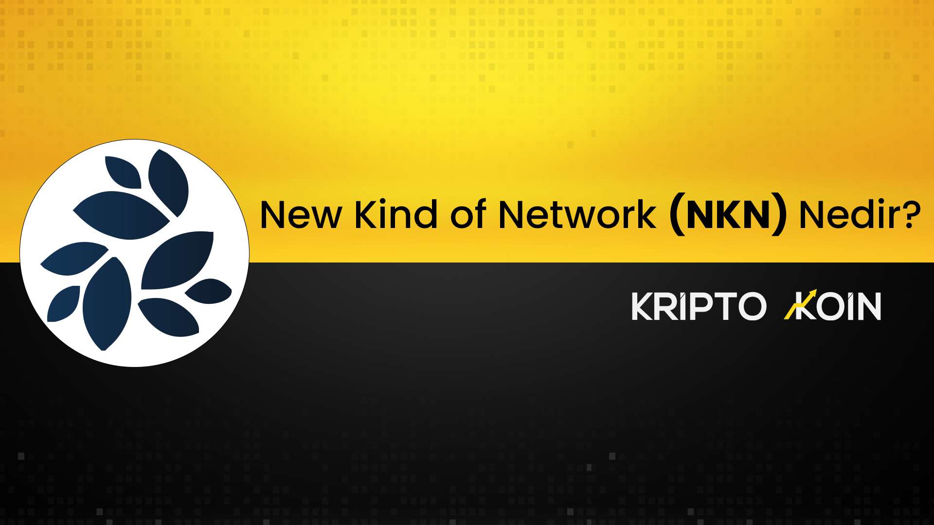 New Kind of Network Nedir? NKN Coin Nasıl Alınır?