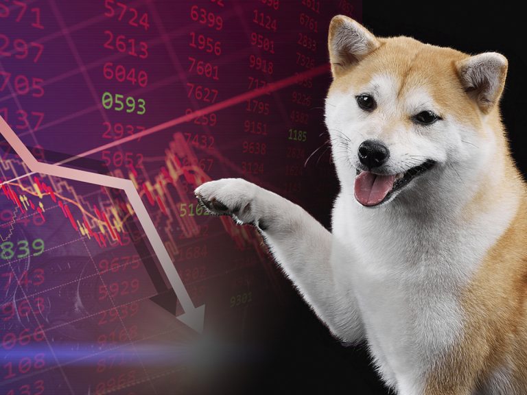 SHIB, BTC Değil: Balinalar Düşüşte Bu Altcoin’den Topluyor!