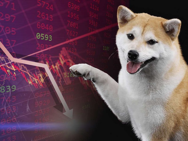 SHIB, BTC Değil: Balinalar Düşüşte Bu Altcoin’den Topluyor!