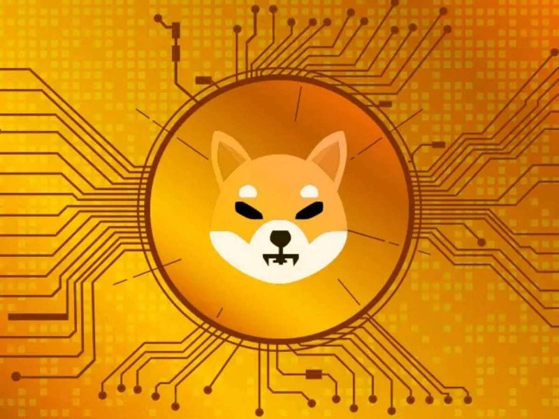 SHIB ve Bu 10 Altcoin’den Müjde: Ünlü Şirket Ekliyor!