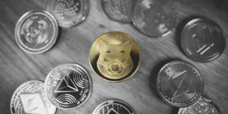 Shiba Inu Balinasının Sepetinde Bakın Hangi Altcoin’ler Var!