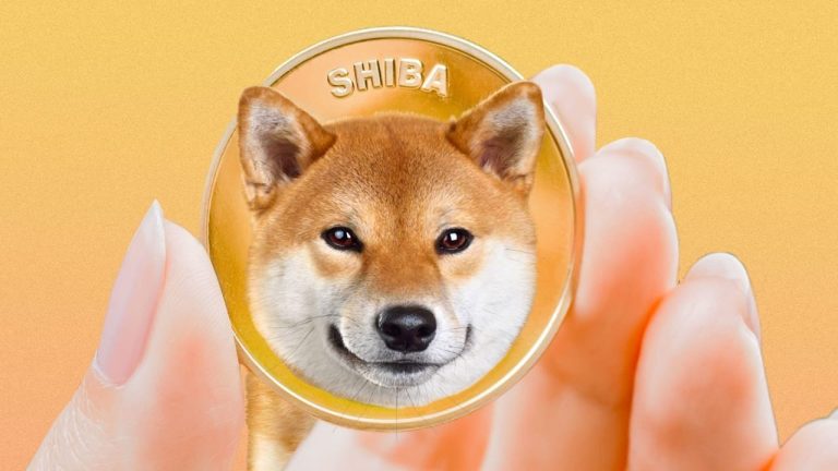 Shiba Inu Türkiye Topluluğu, AK Parti Küme Başkanvekili Mustafa Elitaş İle Görüşme Gerçekleştirdi