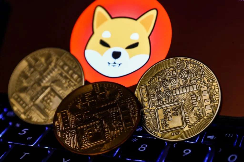 Shiba Inu ve Bu 2 Altcoin’den Müjde: Sepete Giriyor!