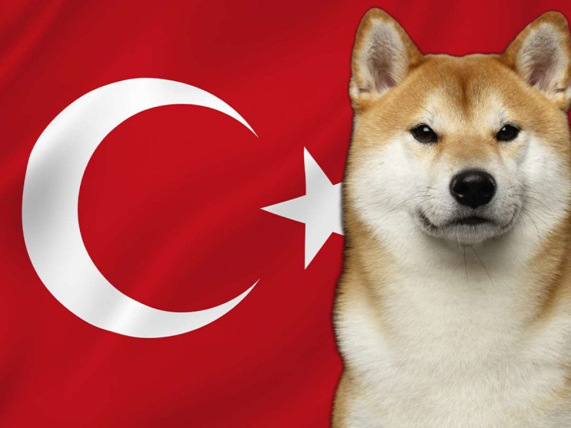 Shiba Inu’dan Bomba Türkiye Atağı: Bakanla Görüştü!