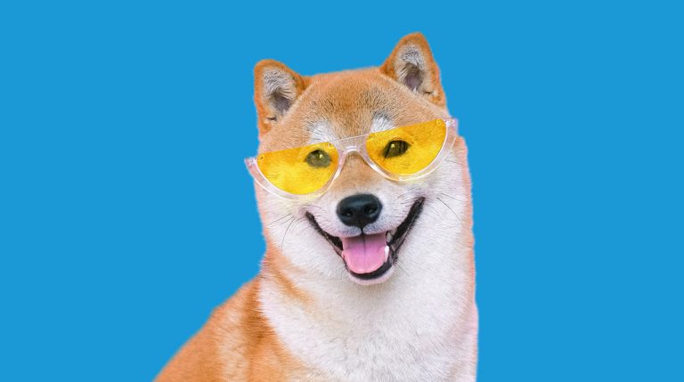 Shiba Inu’nun Yıl Yıl Göreceği Düzeyler Açıklandı!