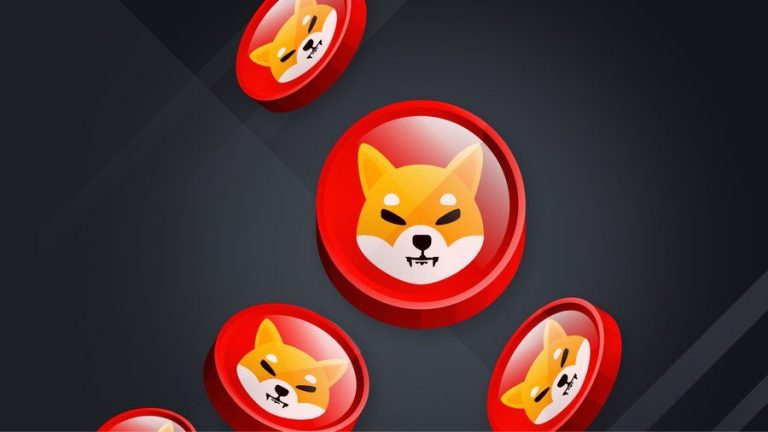 Shiboshi: İşte Shiba Inu NFT Hakkında Bilmeniz Gerekenler!