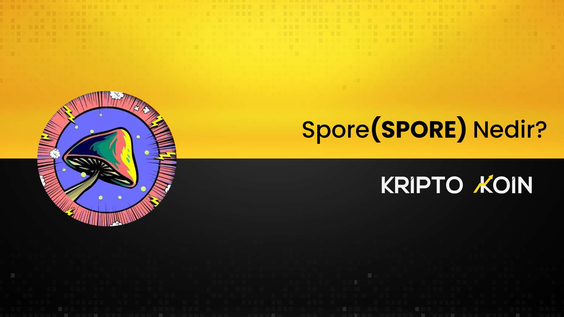 Spore Coin Nedir? SPORE Nasıl Alınır?