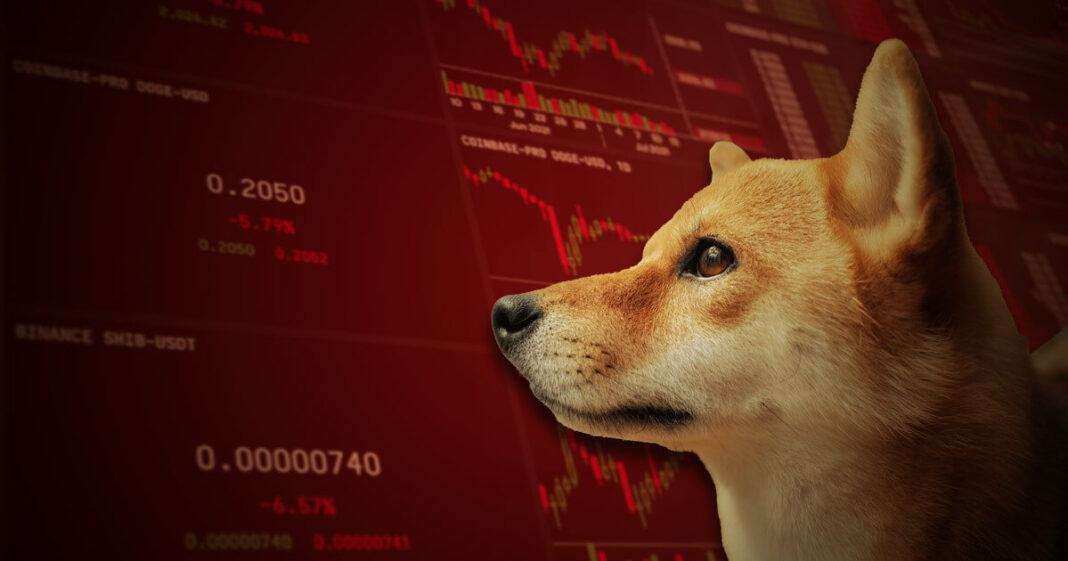 Usta Analistler: SHIB ve DOGE İçin Bu Düzeylere Hazır Olun!