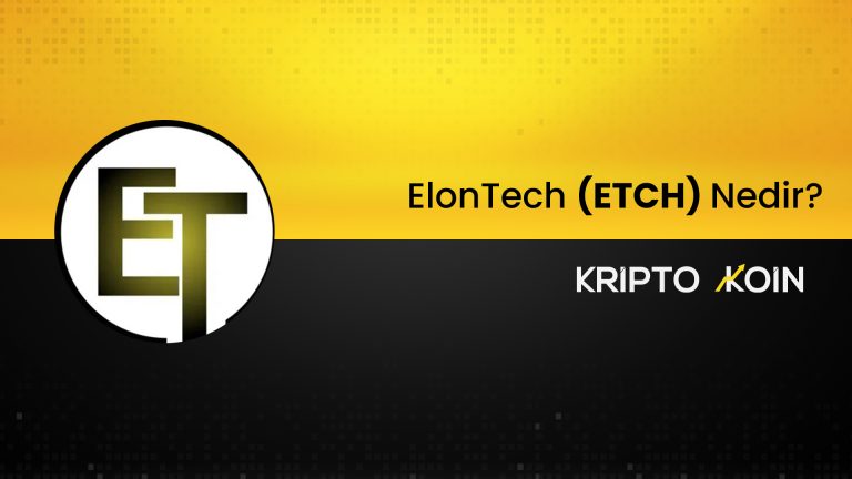 Vidt Datalink Nedir? VIDT Coin Nasıl Alınır?