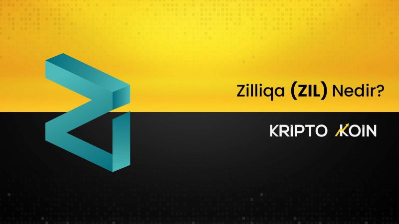 Ziliqa (ZIL) Nedir? Avantajları ve Dezavantajları Nelerdir?