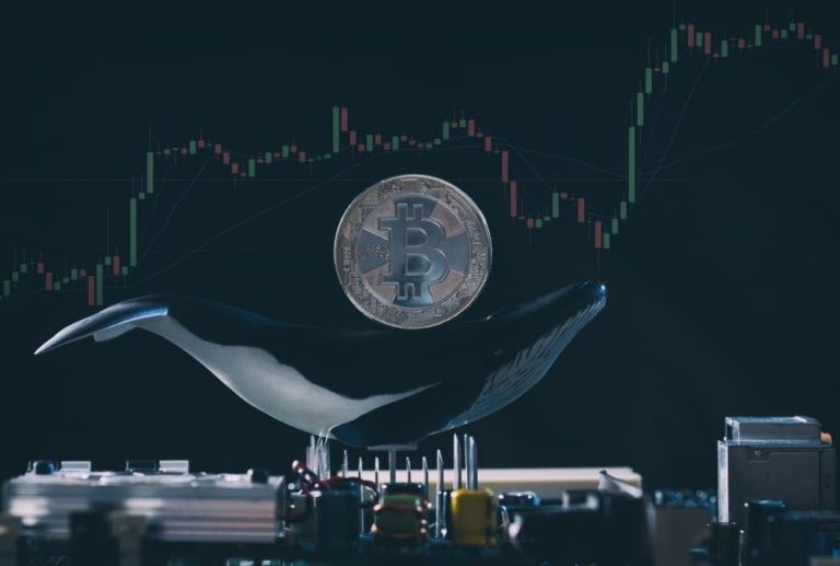 16 Balina, Bitcoin’lerini Sattı ya da Dağıttı! Fiyatı Nasıl Tesirler?