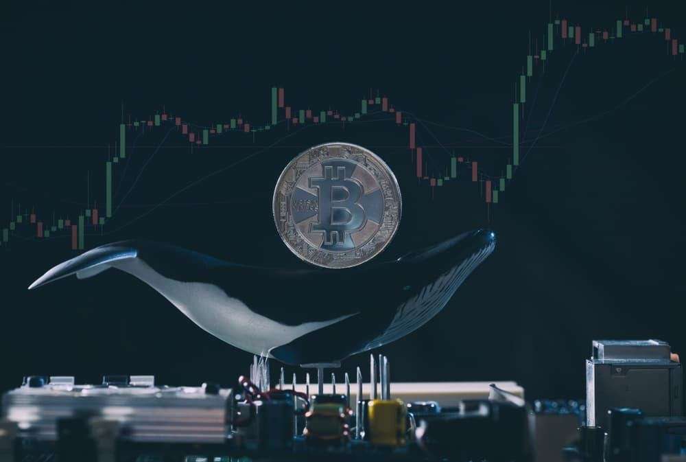 16 Balina, Bitcoin’lerini Sattı ya da Dağıttı! Fiyatı Nasıl Tesirler?