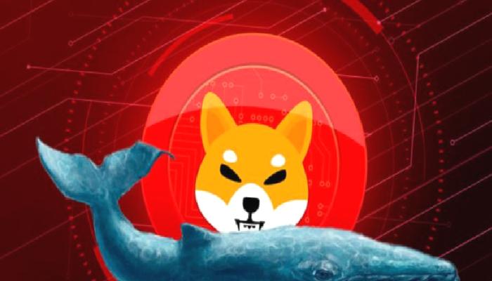 2 SHIB Balinası Yeni Avlarını Duyurdu: Bu Altcoin’ler!