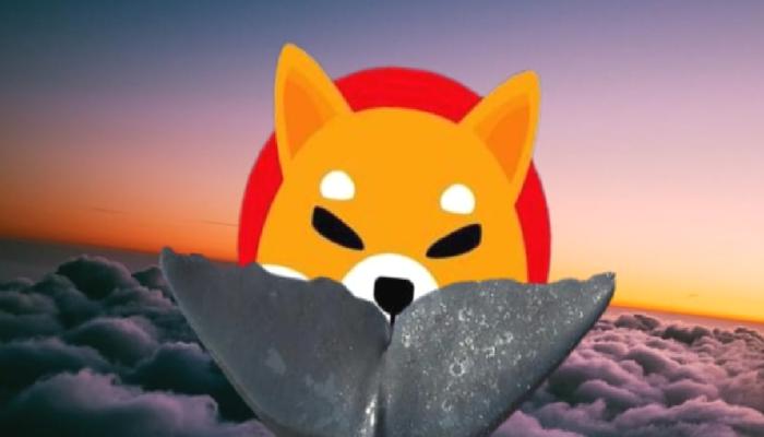 2 Shiba Inu Balinasının Portföyünde Bu 6 Altcoin Var!