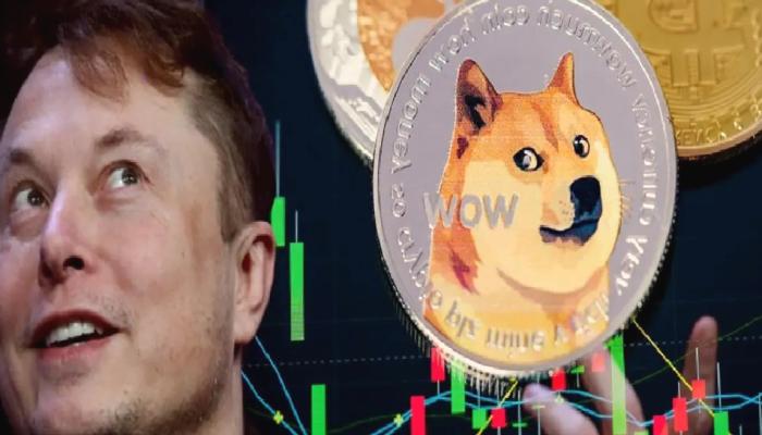 5 Usta İsimden Dogecoin İçin Gelecek Tahmini!
