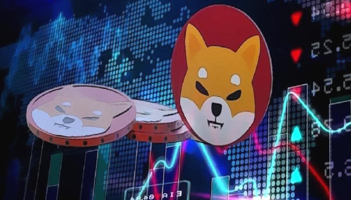 Analist Şaşırttı: Shiba Inu Mayıs’ta Bu Düzeyleri Görecek!