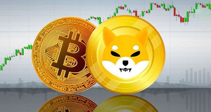 Analist: SHIB ve Bitcoin Hafta İçinde Bu Düzeyleri Vurabilir!