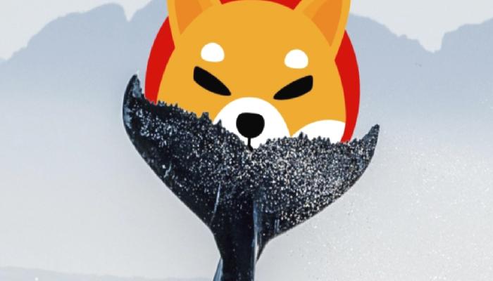 Anonim Bir Balina 70 Milyarlık Shiba Inu (SHIB) Satın Aldı