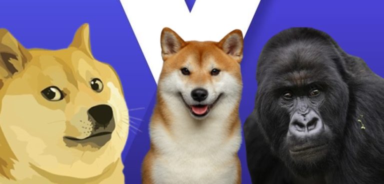 ApeCoin, SHIB ve DOGE: Haftaya Bu Düzeyler Bekleniyor!