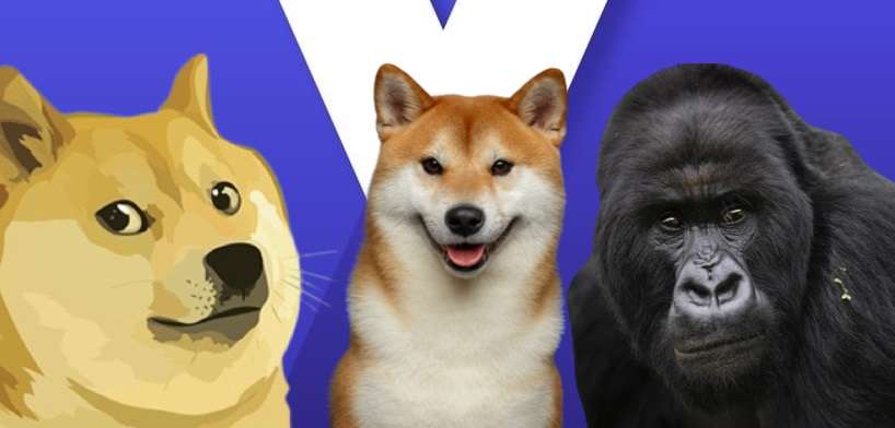 ApeCoin, SHIB ve DOGE: Haftaya Bu Düzeyler Bekleniyor!