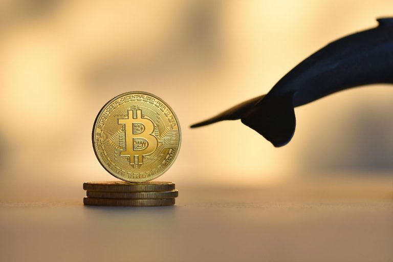 Balinadan Korkutan Açıklama: Tüm Bitcoin Zulamı Satacağım!