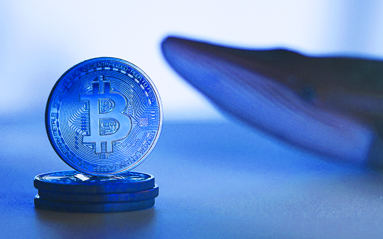 Balinalar Bitcoin’leri Borsalardan Çekiyor! Fiyat Ne Olacak?