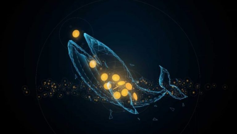 Balinalar En Çok SHIB ve Bu 5 Altcoin’i Tercih Ediyor!