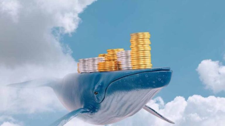 Balinalar Ortasında Bu DeFi Altcoin’i Kapış Kapış Gidiyor!