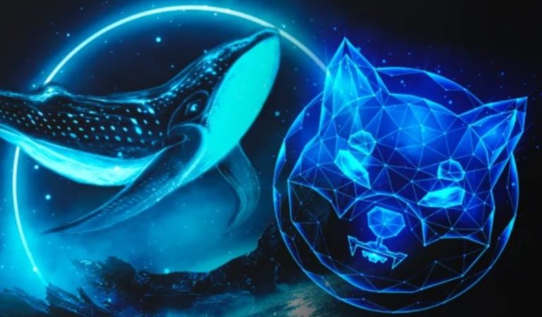 Balinalar, SHIB ve Bu 7 Altcoin’de Tabanları Topluyor!