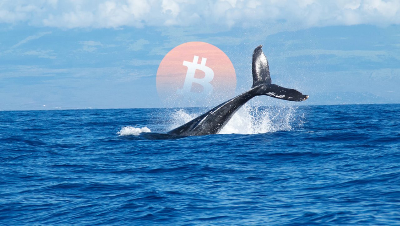 Balinalar Toplu Bitcoin Satışı Yapıyor: Bu Düzeylere Dikkat!
