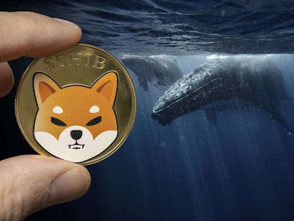 Bu Altcoin Artık Balinaların Birinci Seçimi! Pekala Neden?