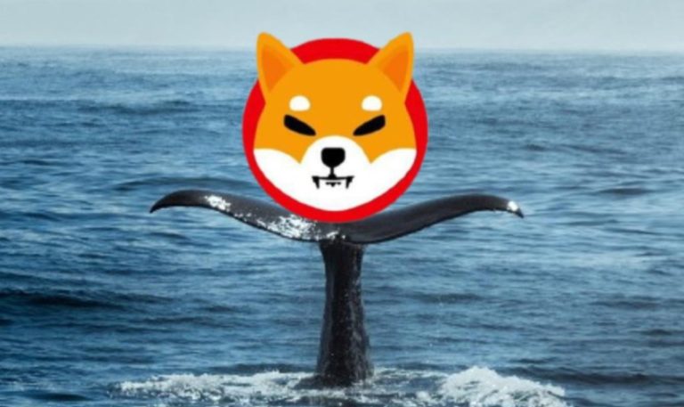 Çılgın Shiba Inu Balinasının Yeni Avı, Bu Altcoin Oldu!
