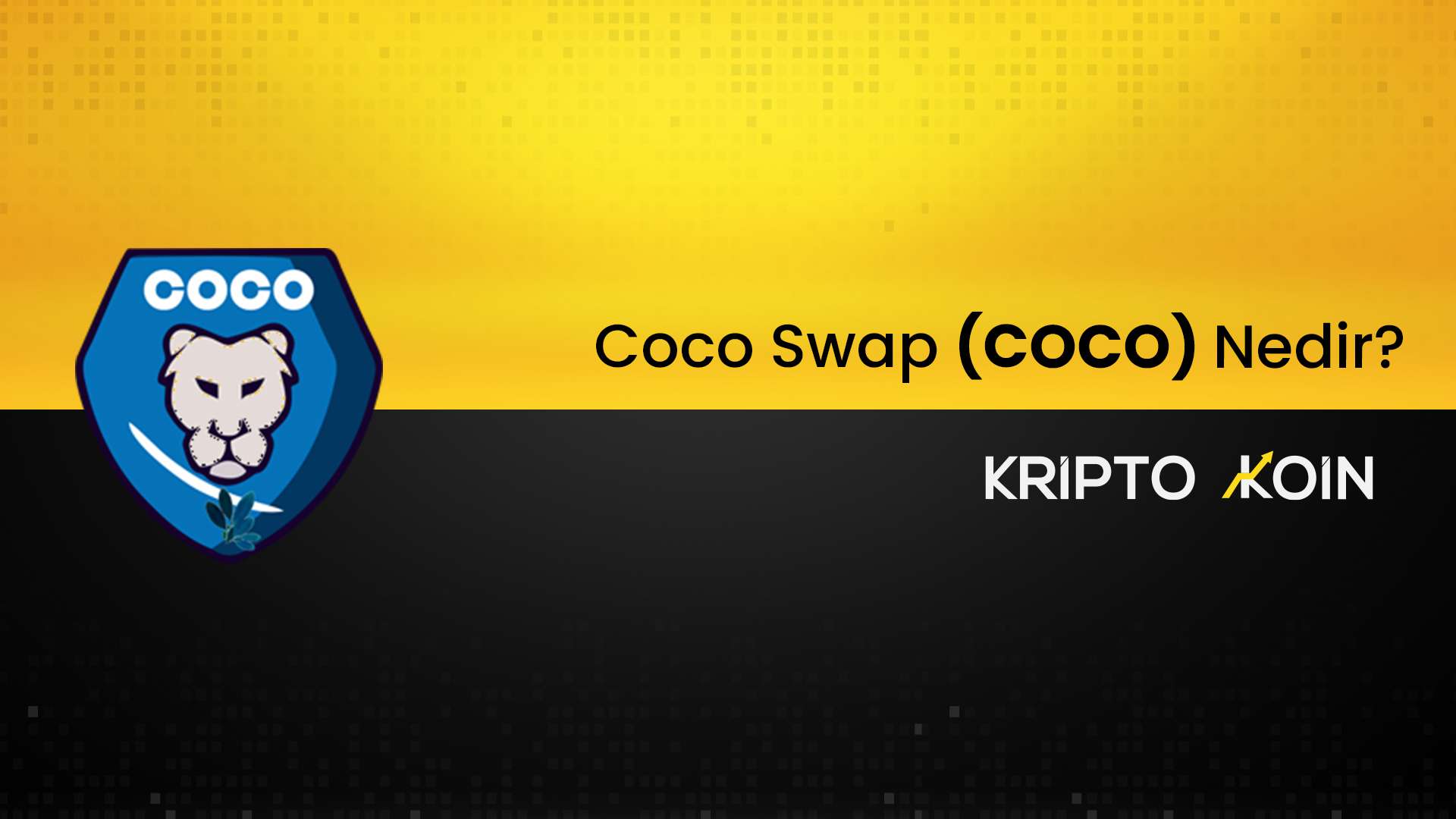 Coco Swap Nedir? COCO Coin Nasıl Alınır?