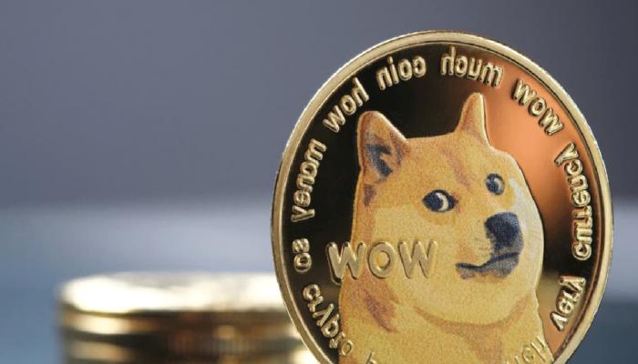 Dogecoin (DOGE) Tüm Yararlarını Sildi