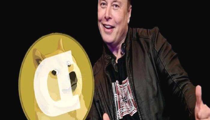 Elon Musk, Billy Markus’un Dogecoin İle İlgili Teklifine Takviye Verdi
