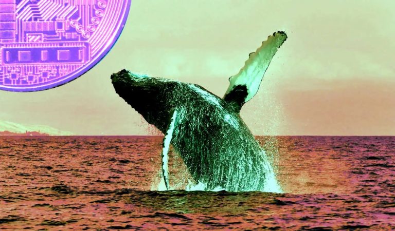 En Büyük 2.000 Balina, Bu Altcoin’den Alıyor!