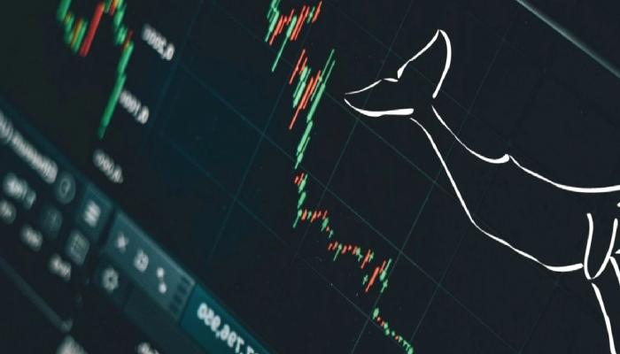 En Büyük Balinaların Altcoin Sepetleri Sızdı: İşte Liste!
