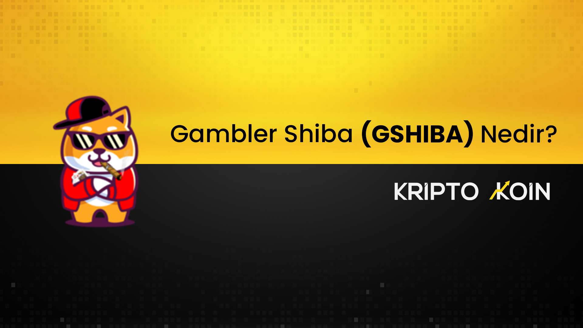 Gambler Shiba Nedir? GSHIBA Coin Nasıl Alınır?