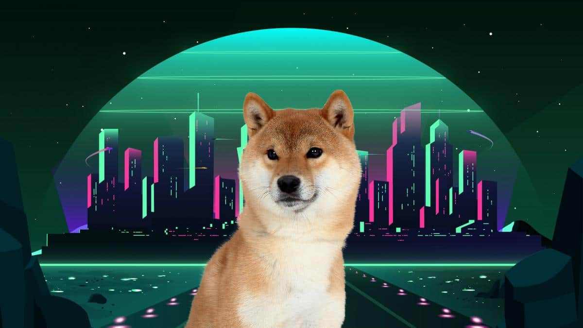 Hafta Sonu Kritik: Shiba Inu Beklenen Sayıları Açıkladı!
