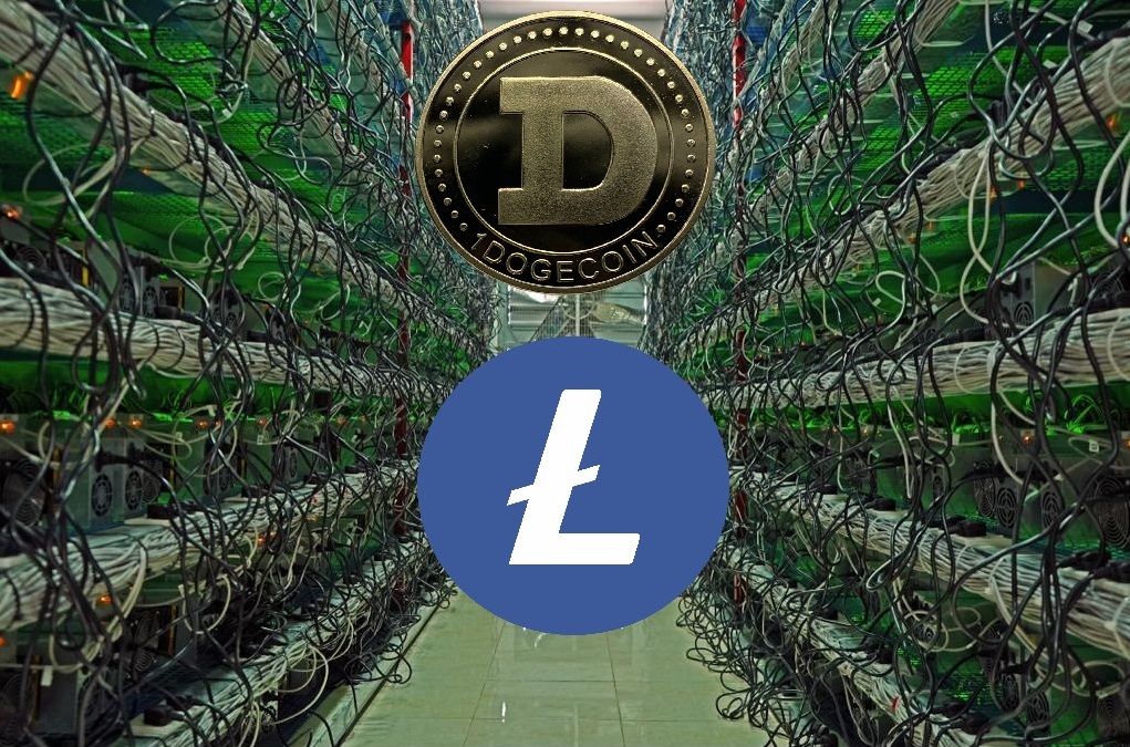 Kanadalı Şirket, Dogecoin ve Litecoin Muştusunu Verdi!