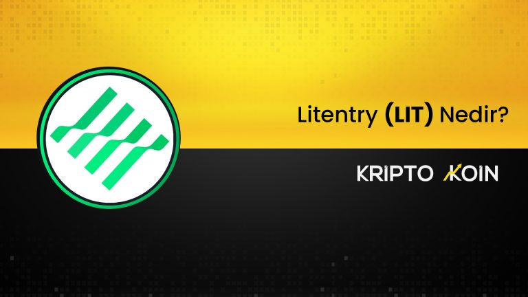 Litentry Nedir? LIT Coin Nasıl Alınır?