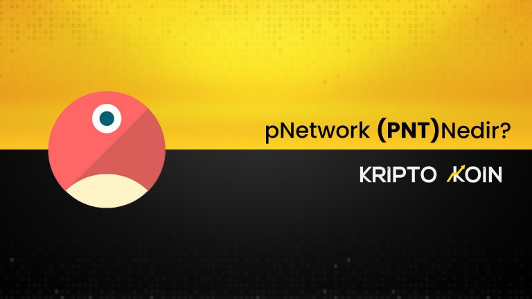 pNetwork Nedir? PNT Coin Nasıl Alınır?