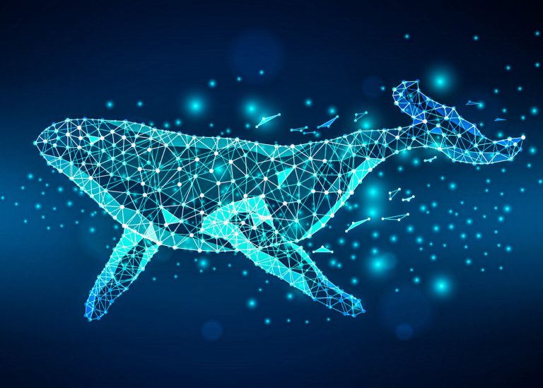 Santiment: Balinalar, AXS ve Bu 6 Altcoin’i Süratle Stokluyor!
