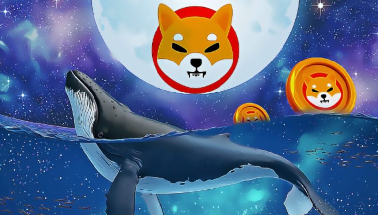 SHIB Alan Balinalar, Bu 7 Altcoin’den Stokluyor!