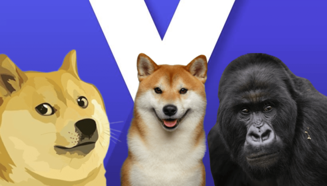 SHIB, ApeCoin ve DOGE Kestirimi: Bu Düzeyler Yakında!