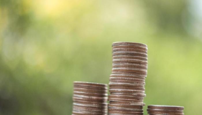 SHIB, Cardano ve Bu Altcoin’lere Dikkat: Dev Haberler Var!