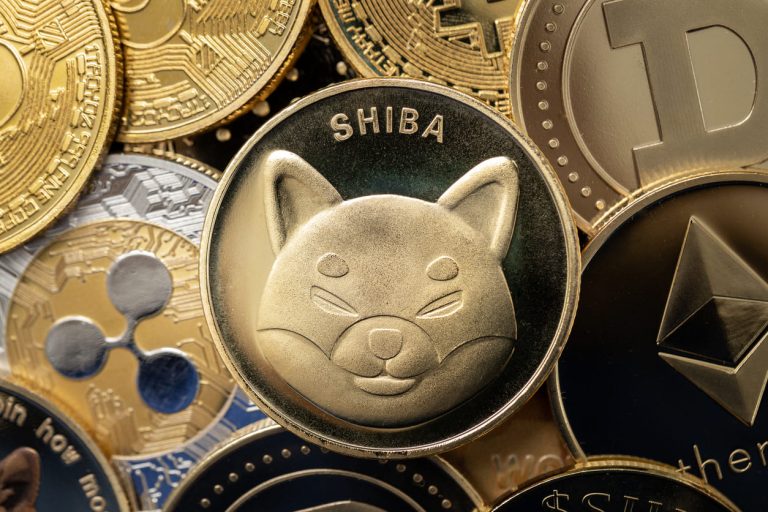 SHIB Değil: Balinalar Düşüşe Karşın Bu Altcoin’den Alıyor!