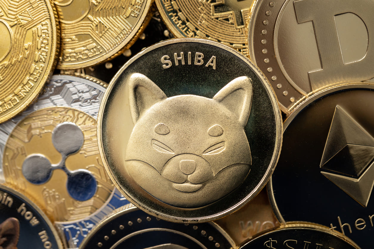 SHIB Değil: Balinalar Düşüşe Karşın Bu Altcoin’den Alıyor!