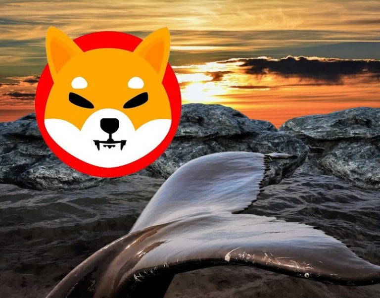 SHIB Değil: Bu Meme Coin’de Balina Süreçleri Patladı!